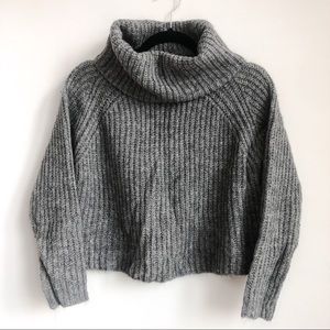 Zara Knit Oversize Turtleneck Crop Sweater